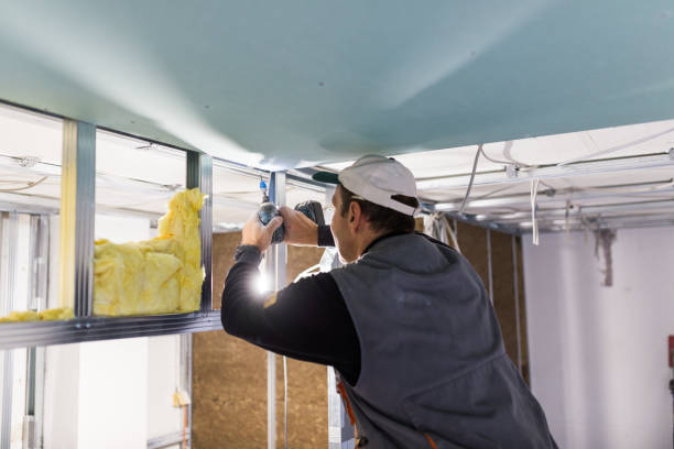 Best Basement Insulation  in Garden View, PA